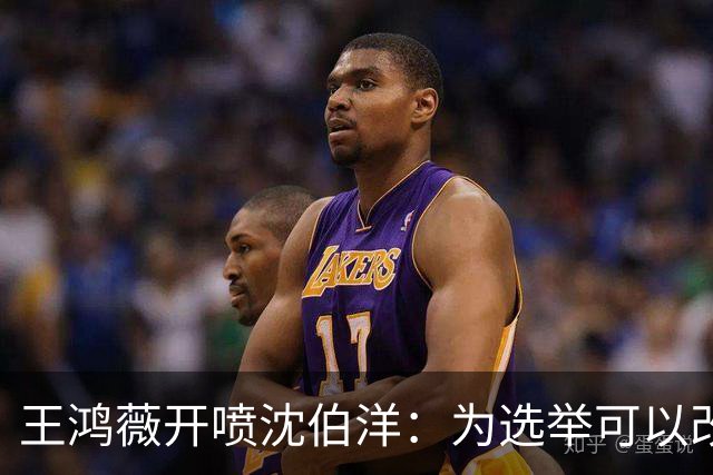 王鸿薇开喷沈伯洋：为选举可以改变自己的人设？确实厉害！